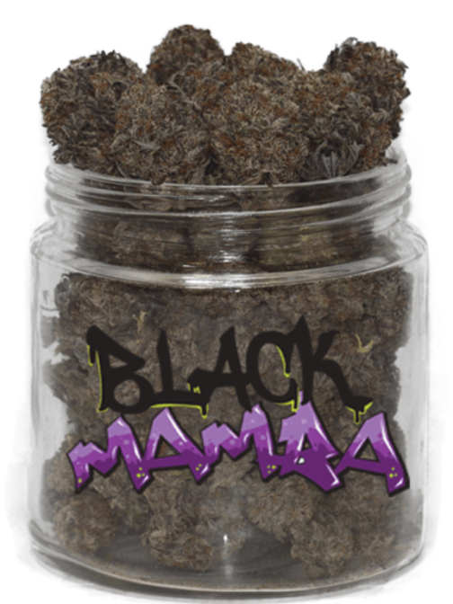buy black mamba strain online