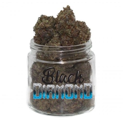 buy black diamond weed strain online