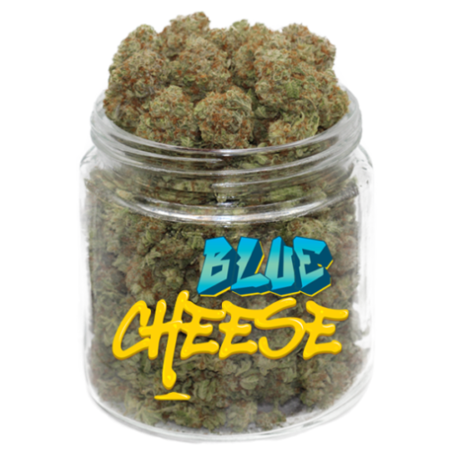 buy blue cheese strain online