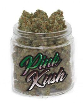 buy pink kush weed strain online