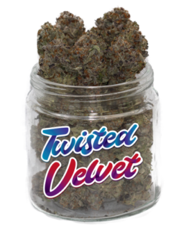 Twisted Velvet